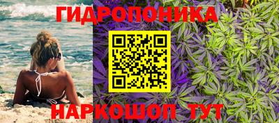 эйфоретик Владивосток