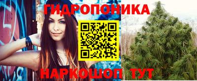 эйфоретик Владивосток