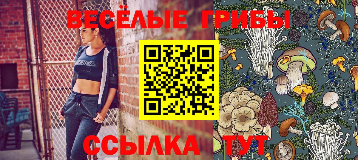 как найти   Галлюциногенные грибы мухоморы  Вход с VPN  Братск 
