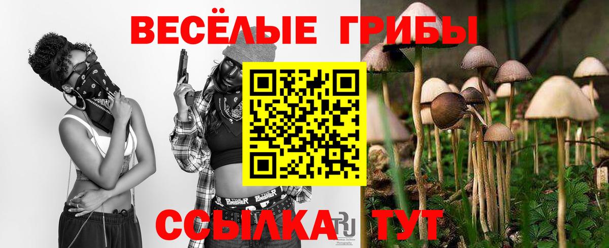 Псилоцибиновые грибы прущие грибы Братск